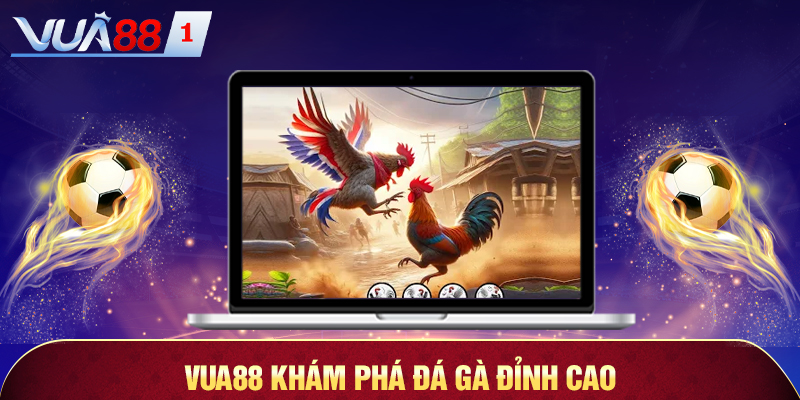 vua88 - khám phá đá gà đỉnh cao